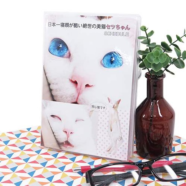 У кота даже появилась книга с одноименным названием.