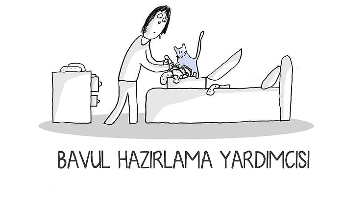 Ev Kedilerine Sigorta Yaptırma Zorunluluğu Geliyor: Bu Şirin Hayvanların Bizim İçin Yaptıkları 17 Şey