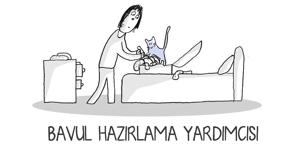 Ev Kedilerine Sigorta Yaptırma Zorunluluğu Geliyor: Bu Şirin Hayvanların Bizim İçin Yaptıkları 17 Şey