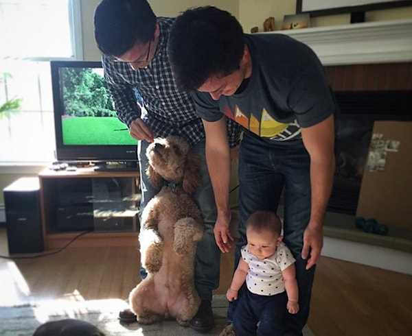 3. На прошлой неделе Майкл Ратпоянакул и его жена нянчились с Ридом, пока его родители отсутствовали дома. А когда Стивен и Кэролл вернулись домой, малыш растерялся и не смог определить, кто же его отец.