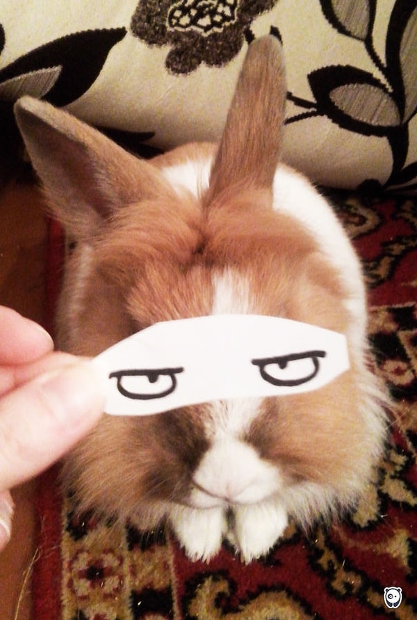 1. Если бы взглядом можно было убивать