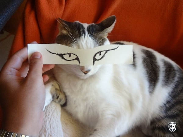 10. «Ты такой скучный»