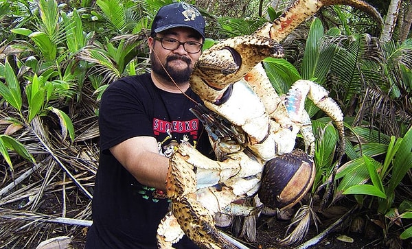 Впрочем, Пьерро считает этих членистоногих очень милыми.