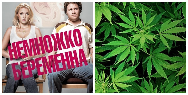 15. "Немножко беременна" + травка