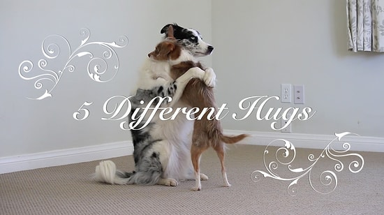 Sevgililer Günü İçin Acayip Sevimli 5 Farklı Sarılma Tipi