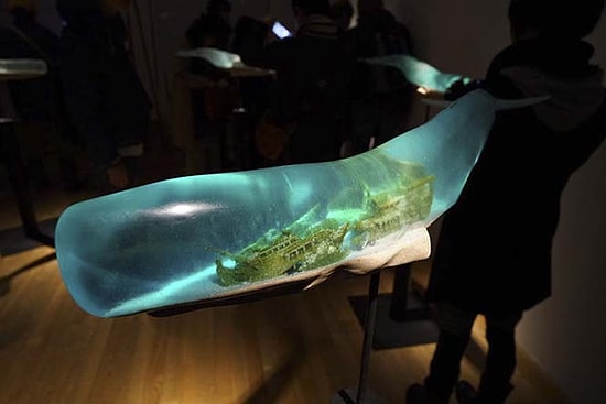 Balina Vücutlarının Şekli ile Budizm'in 6 Alemi