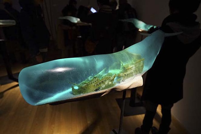 Balina Vücutlarının Şekli ile Budizm'in 6 Alemi