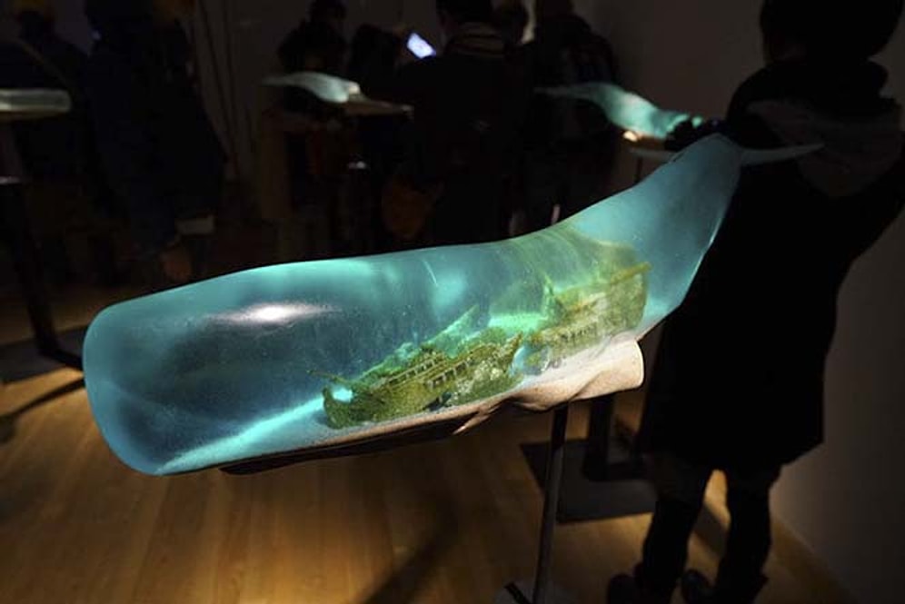 Balina Vücutlarının Şekli ile Budizm'in 6 Alemi