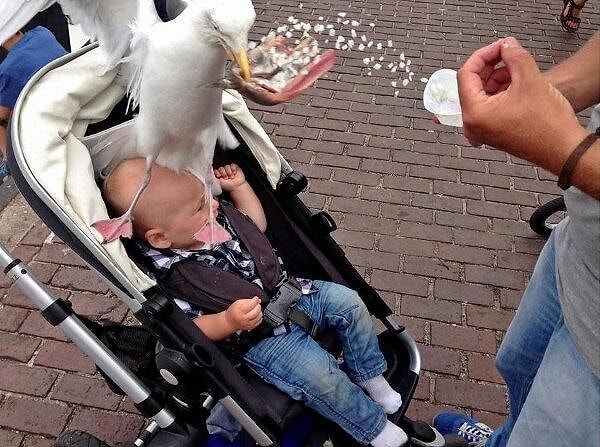 8. "Ща немного отдышусь..."