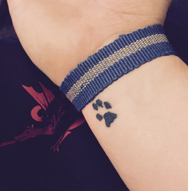 21. Лапа кошки