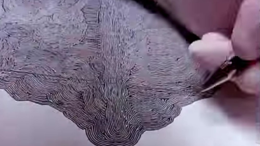 Japon Sanatçının 6 Aylık Emeğinin Beyin Yakan Sonucu