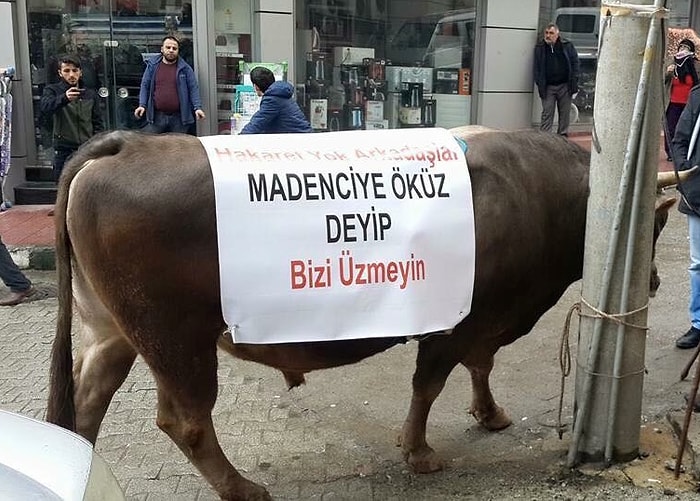 Cerattepe İçin Boğalı Protesto