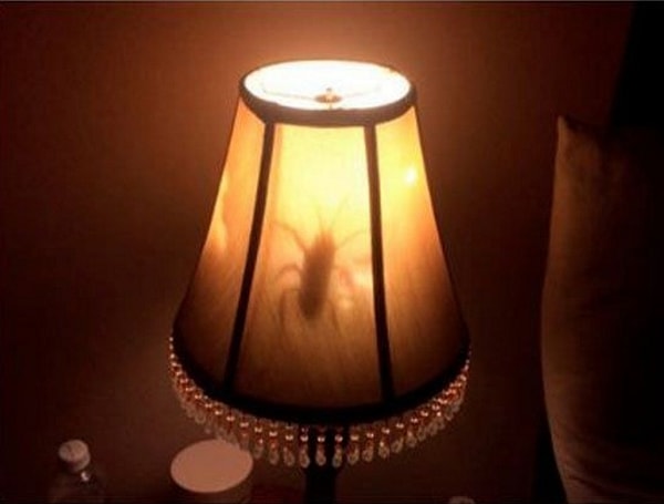 4. Резиновый жук в лампе.