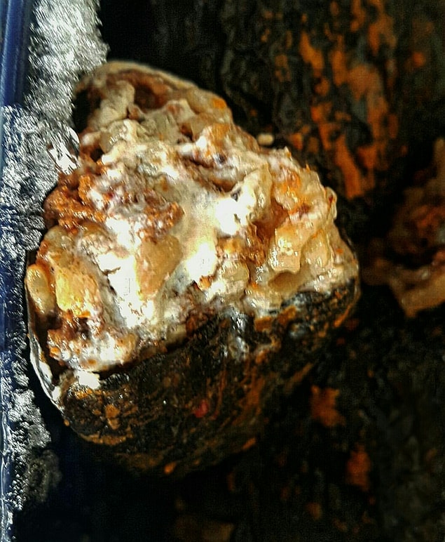 8. Anne dolması