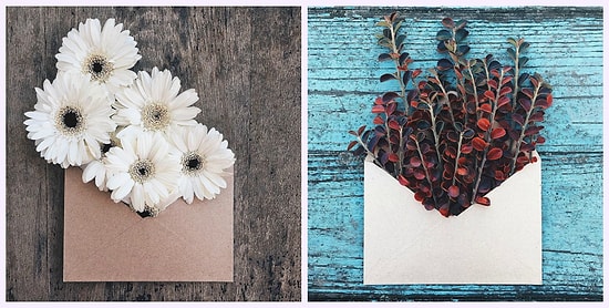 Цветочные конверты от украинского фотографа