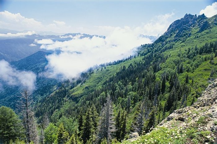 Artvin’de Maden ile Neleri Kaybederiz?