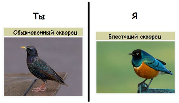 13. Ты посылаешь им такие ☟ картинки, чтобы они знали свое место.