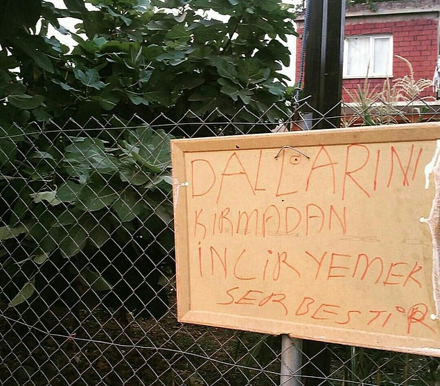 14. Osmaniye