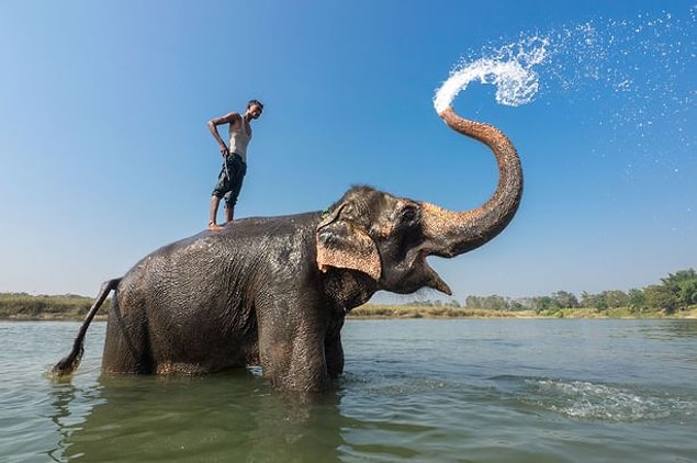 45. Nepal'de fil duşu alın!