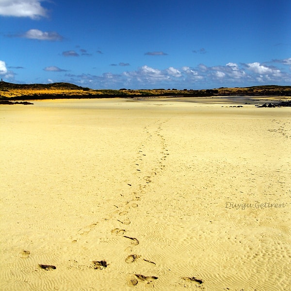 25. Завяжите шнурки