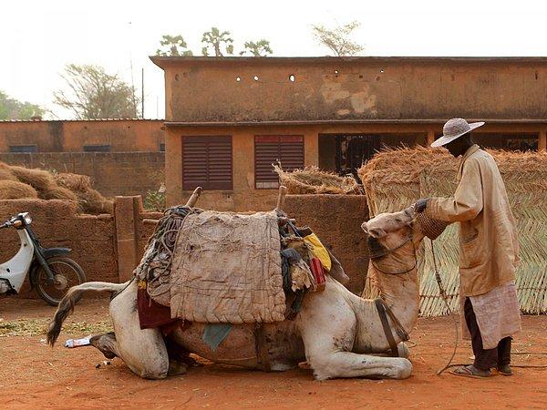 14. Niamey, Nijer
