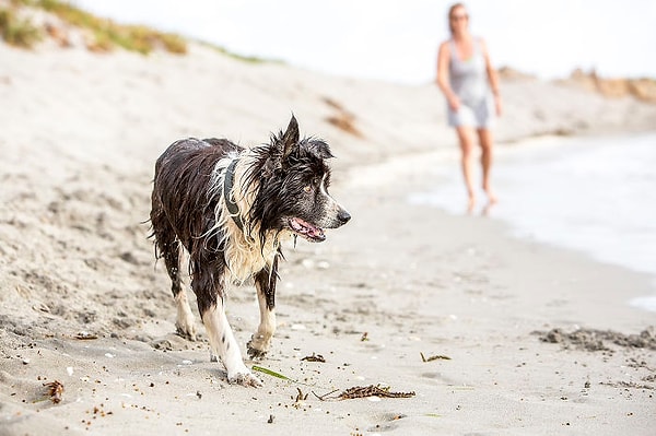 5. Никто никогда не узнает, через что прошел Сэм за эти 7 лет.