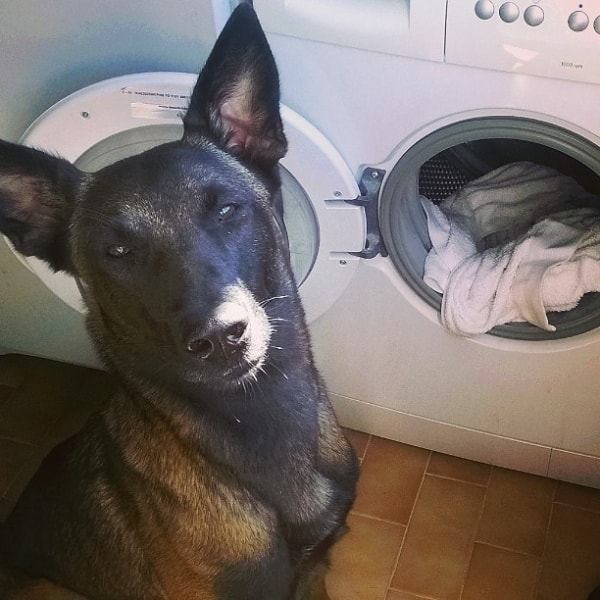 3. Тыкать носом