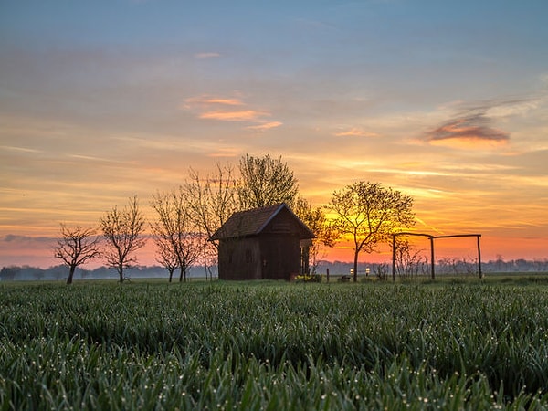 5. Какой цвет здесь доминирует?