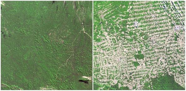 6. Rondonya Ormanları, Brezilya; 1975-2009 Arası