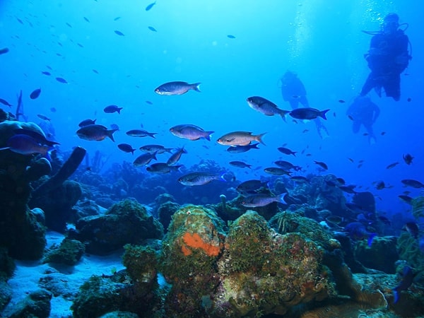 3. Кюрасао - для любителей дайвинга