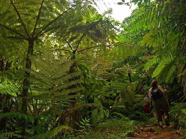 12. Доминика - для любителей походов