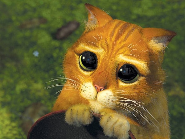 6. Секс из жалости