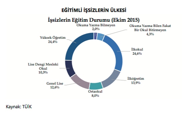 13- Eğitimli işsizlerin ülkesi