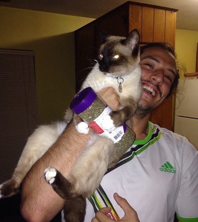 1. Kedi nanesi ya da bilimsel adıyla "Nepeta cataria"...