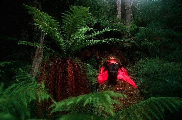 10. Tazmanya ormanlarında yürümekten yorgun düşerek uyuyakalmış bir sporcu