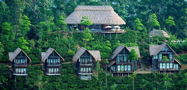 13. Отель 98 acre teafield, Шри-Ланка