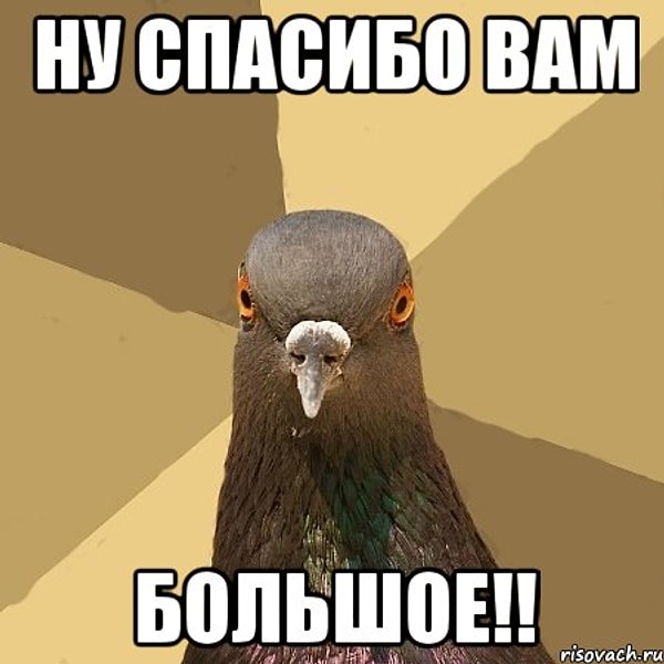 10. Ну, спасибо большое