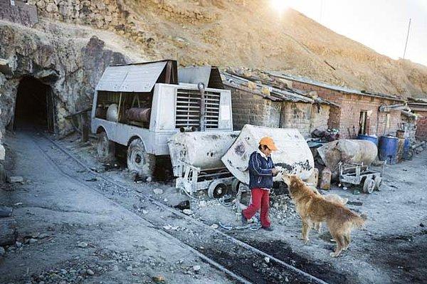 Israel maden girişinin hemen yanındaki evlerinin önünde durup altı köpeğinden biri olan Oso ile oynuyor.