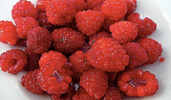 19. Компонентом, который придает особый вкус малине, пронизана вся наша галактика. Все верно, Млечный Путь на вкус как малина!