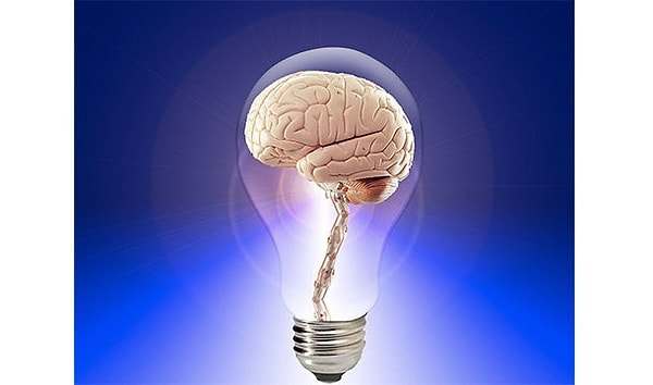 3. Мозг состоит в основном из воды и жира