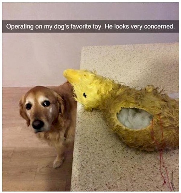 8. Ты, блин, что делаешь?