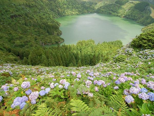 10. Portekiz'e bağlı Azor Takımadaları'nın en batısında bulunan Flores Adası, adını bölgede bolca bulunan yabani çiçeklerden alıyor.