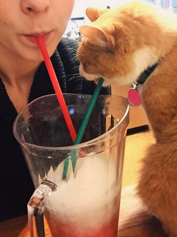 9. Щедрая хозяйка: