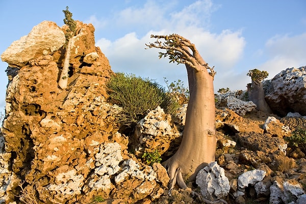 11. Тем не менее, назвать это место стопроцентным раем было бы неправильно: терроризм и преступность на достаточно высоком уровне.