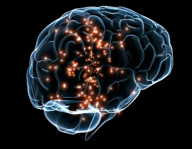 Чтобы выяснить, что же происходит в мозгу возбуждённой женщины, учёные из Ратгерского университета, США, использовали МРТ. Они обнаружили, что при стимуляции влагалища, шейки матки, клитора и сосков активизируются совершенно разные участки мозга.