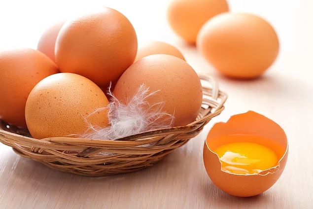 В одном курином яйце может поместиться количество женских яйцеклеток, необходимое для того, чтобы вновь заселить нашу планету до нынешней численности населения.