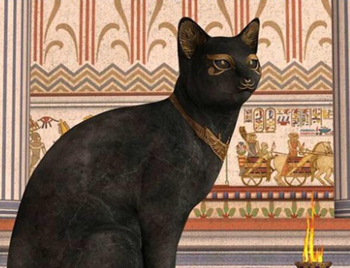 Кошка была приручена в древнем. Египетская кошка фараона. Кошки в древнем Египте. Египетская Храмовая кошка.