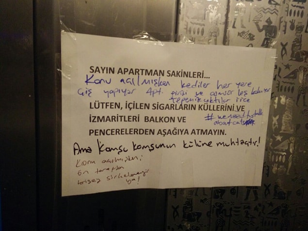 9. Kedileri konuşalım