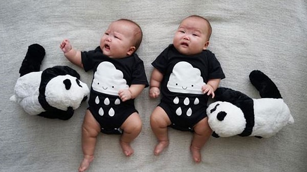 13. Вы можете наблюдать за этими чудесными малышами в Фейсбуке или Инстаграме.