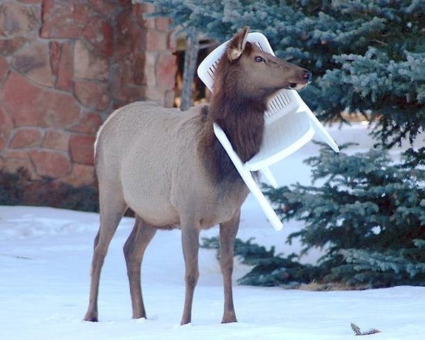 21. Стулья с собой? Ок